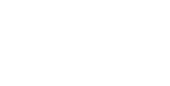 Ministry of Experience